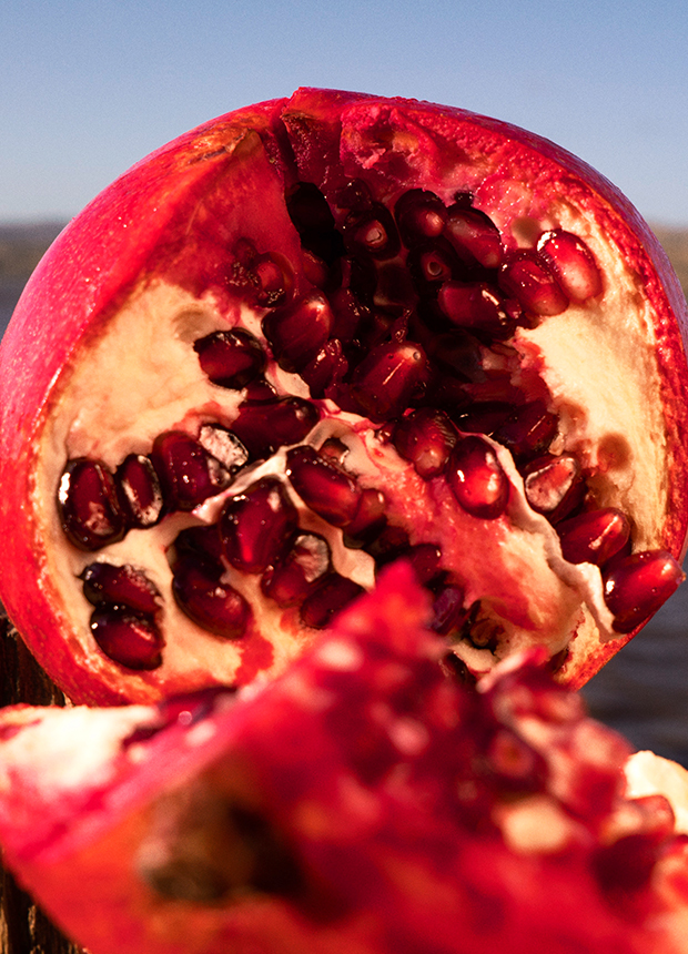 The Surprising Link Between Cystic Acne and Antioxidants