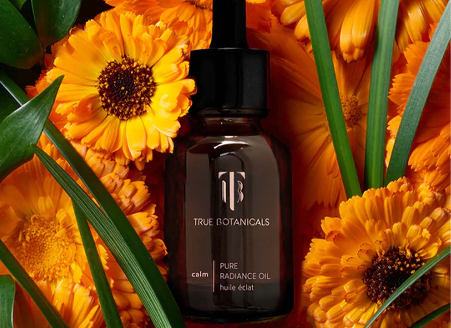 Sunflower Seed Oil For Skin 5 Benefits True Botanicals